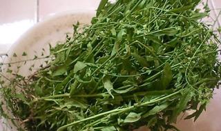 三月三荠菜花煮鸡蛋的功效 三月三荠菜花煮鸡蛋的功效