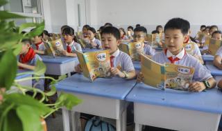 九毒日是几月几号2024 九毒日是几月几号2024