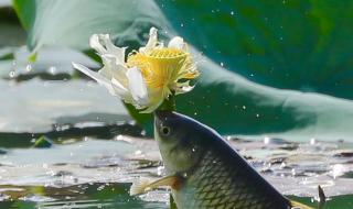 比较有寓意的微信号 比较有寓意的微信号