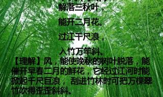 解落三秋叶能开二月花 解落三秋叶能开二月花