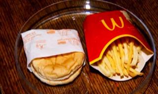 麦当劳汉堡薯条10年不发霉 麦当劳汉堡薯条10年不发霉