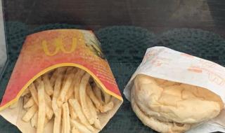 麦当劳汉堡薯条10年不发霉 麦当劳汉堡薯条10年不发霉